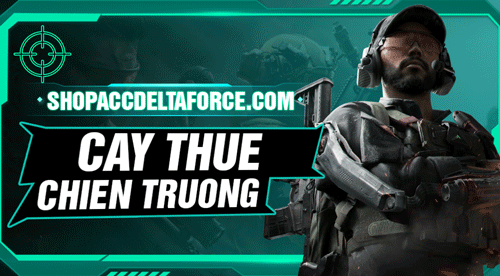 CÀY THUÊ CHIẾN TRƯỜNG